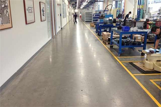 750750上海赫斯基-2.jpg 750750上海赫斯基-2.jpg