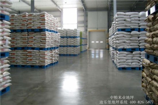 迪乐堡食品车间地坪