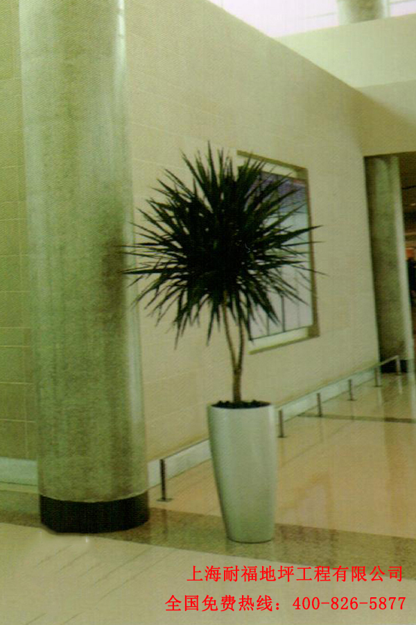 迪乐堡固化墙面