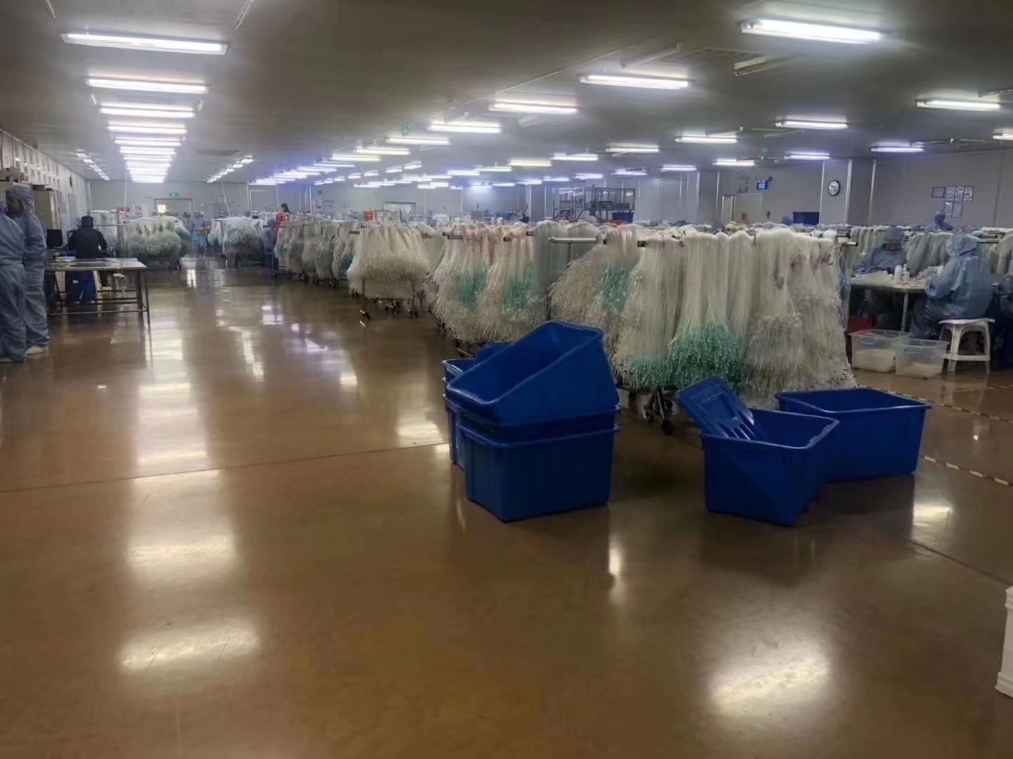 医药品流车间固化地坪