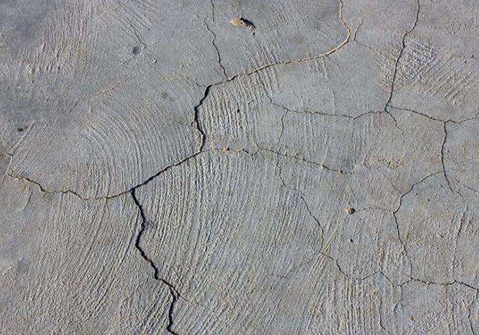 5b6d40df4f2d9(1).jpg 5b6d40df4f2d9(1).jpg