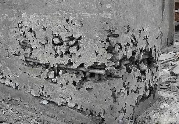 蜂窝.jpg 蜂窝.jpg